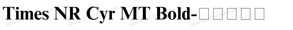 Times NR Cyr MT Bold字体转换